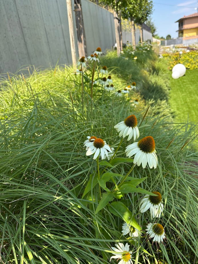 Profumi del giardino in estate design moderno e classico