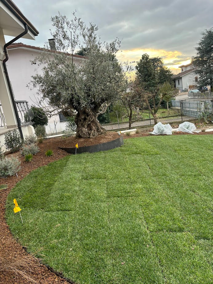 creazione di aiuole e spazi personalizzati per il tuo ambiente esterno