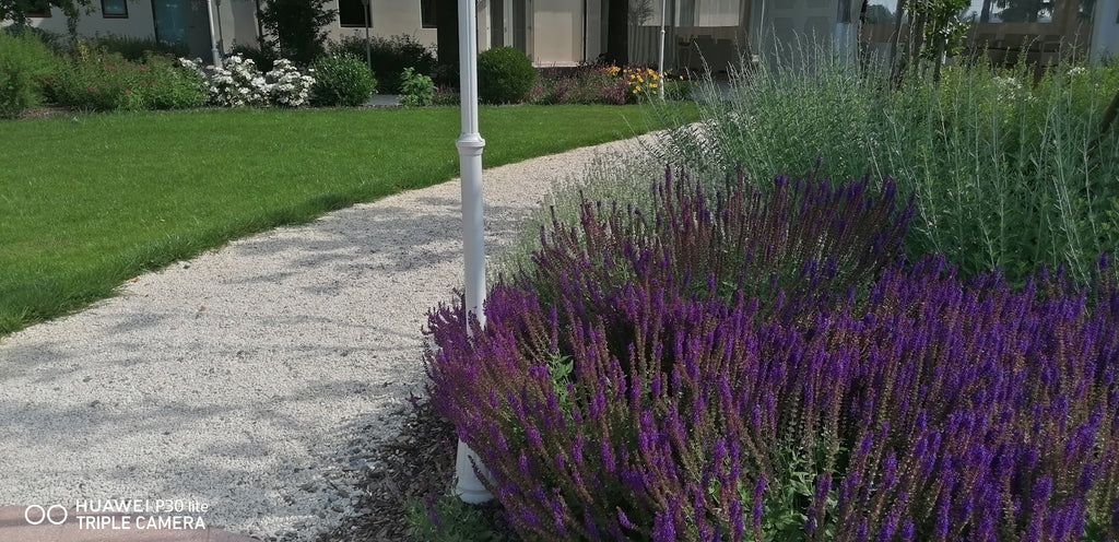 zone di passaggio in giardino